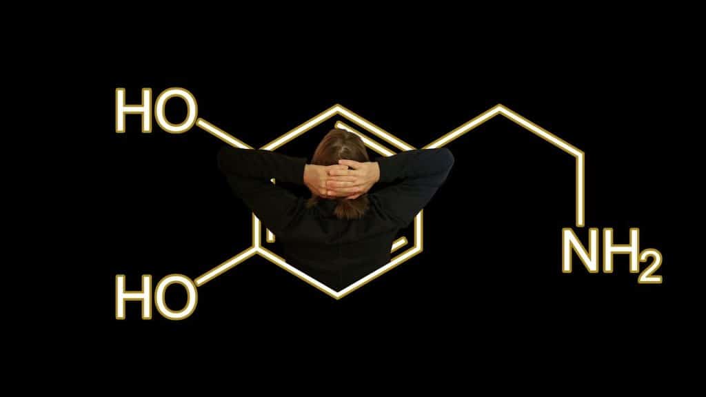 Dopamine formula with person