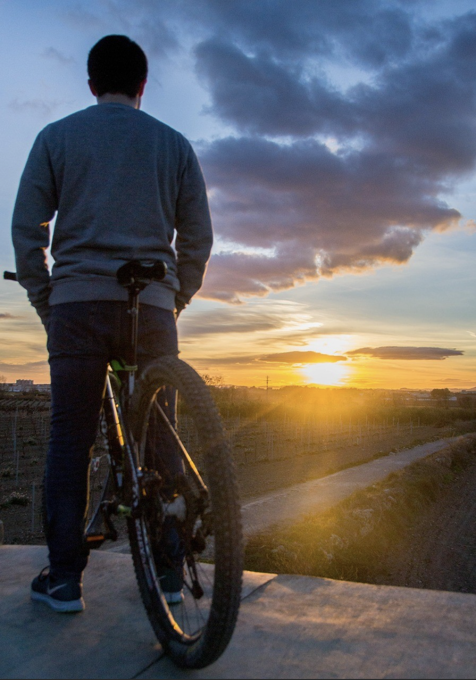 person looking at the sun on the horizon on a bicycle